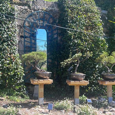Lou Pero Mousco Otel Saint-Paul-en-Forêt Dış mekan fotoğraf