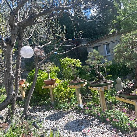 Lou Pero Mousco Otel Saint-Paul-en-Forêt Dış mekan fotoğraf