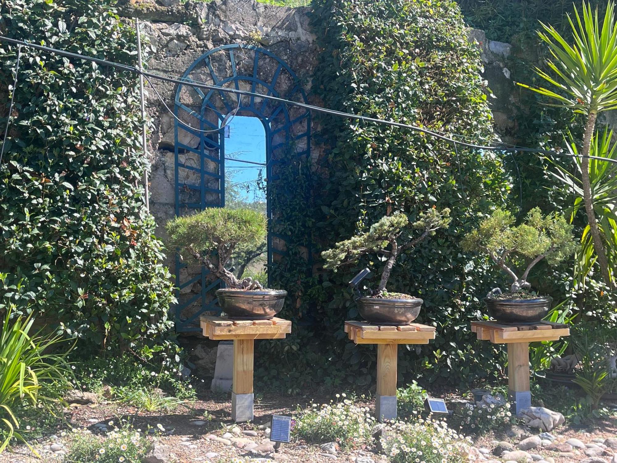 Lou Pero Mousco Otel Saint-Paul-en-Forêt Dış mekan fotoğraf